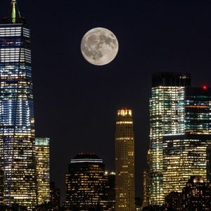 Meet your Posher, Walter levar